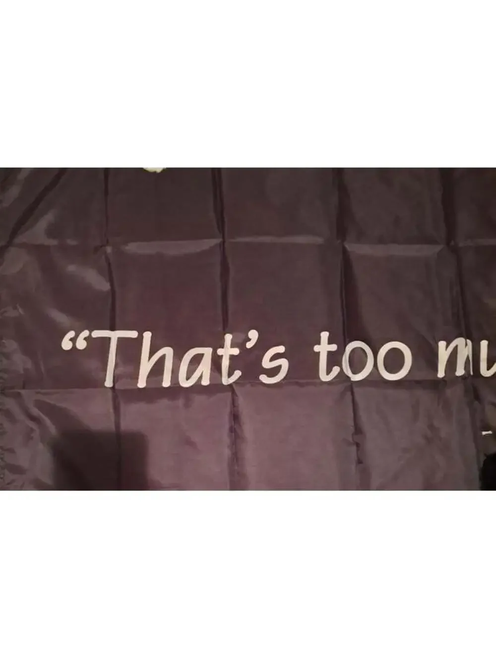 That's too much bacon- said no one ever Banner Party Whimsical Comedy
